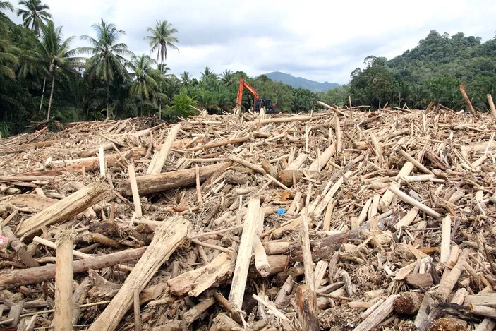 Poranda : Gelondong kayu terlihat pasca banjir melanda // dok LBH Medan /